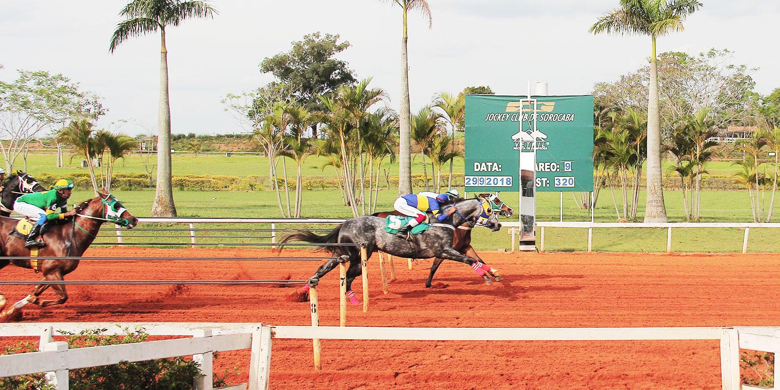 CLASSIFICATORIA DO GP TAÇA DE OURO CLASSIFICATORIA DO GP TAÇA DE OURO