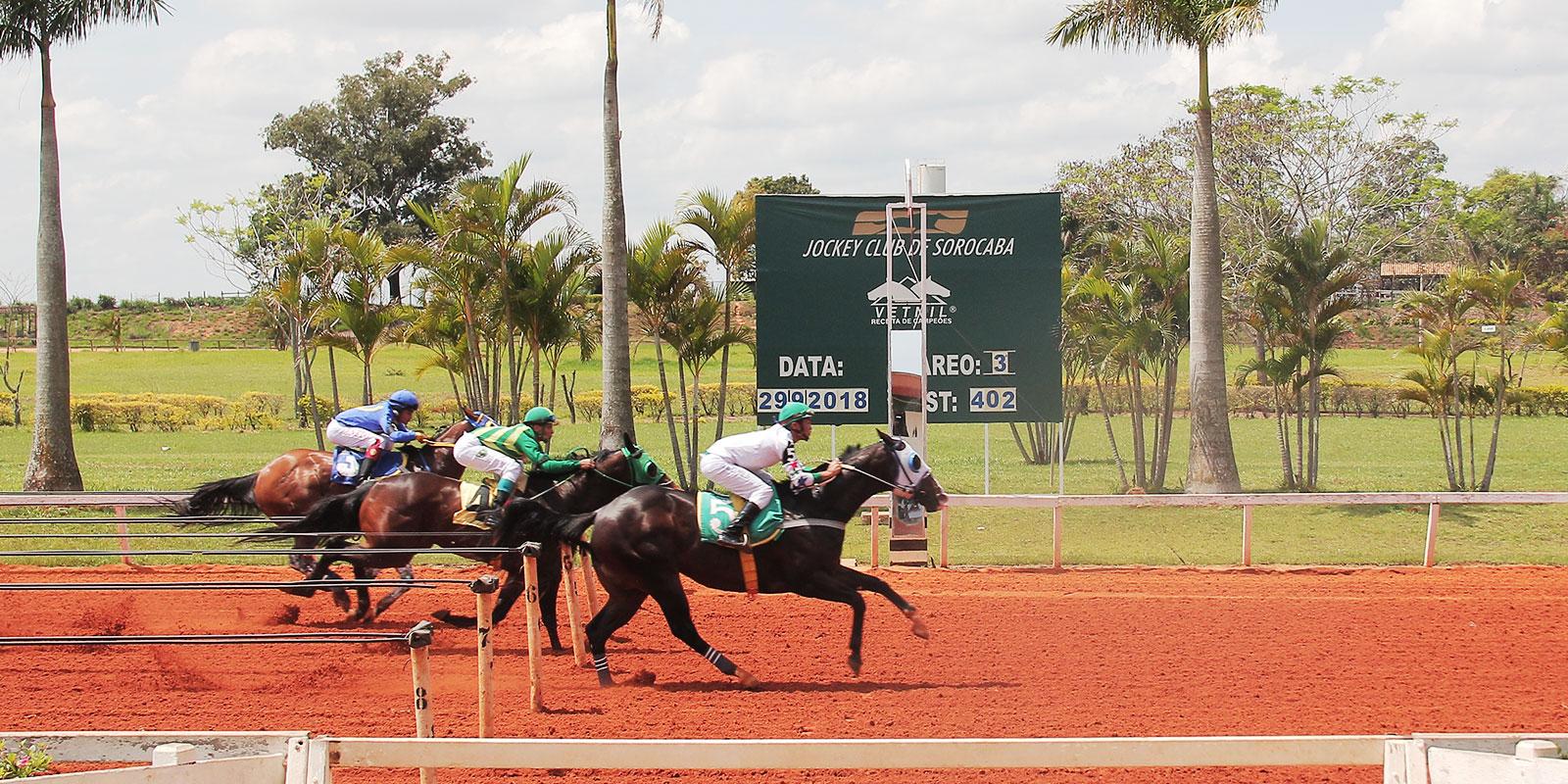 Classificatória do GP CONSAGRAÇÃO - III TRÍPLICE COROA - Distância 402 metros