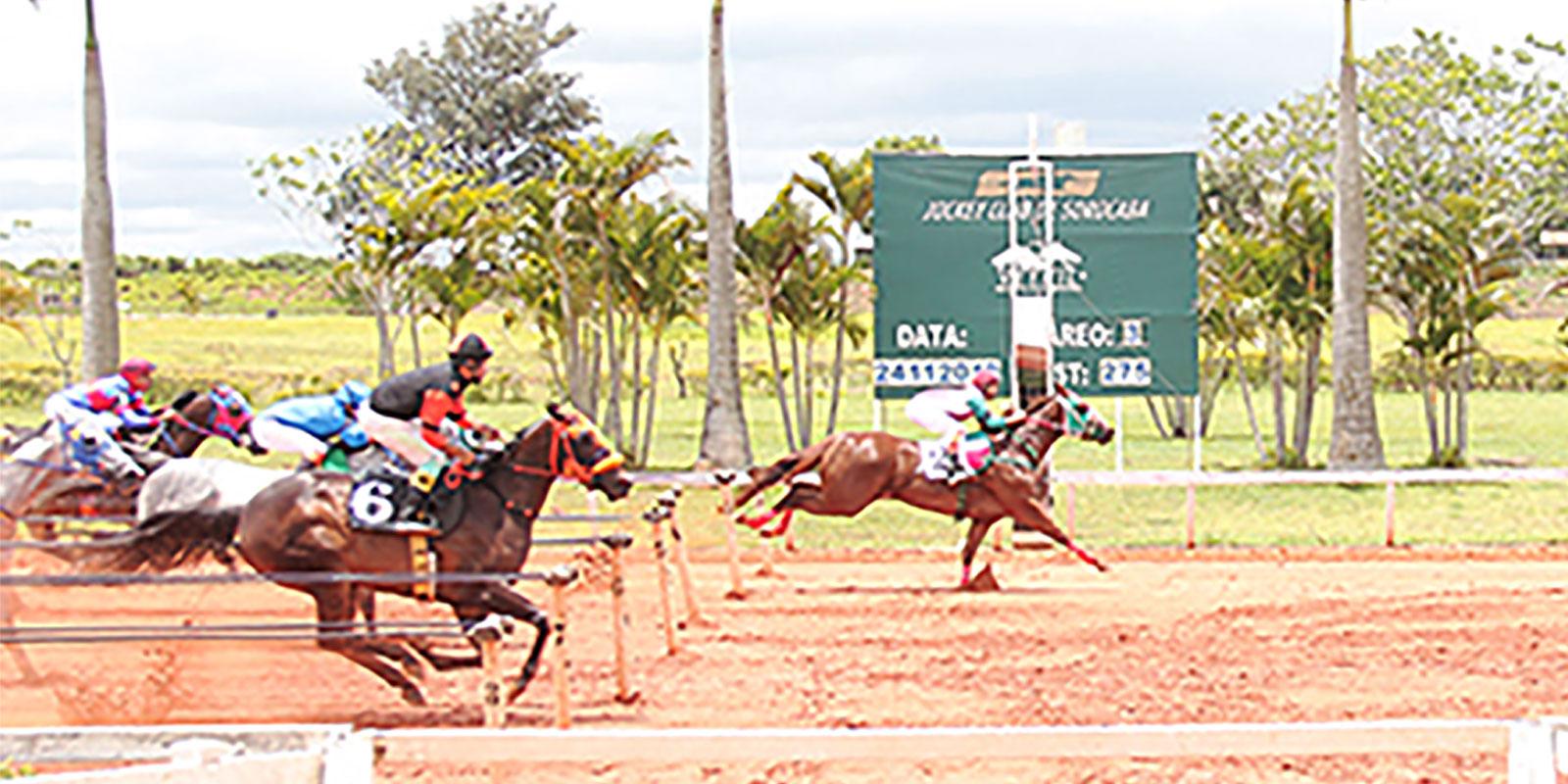 Terceiro Páreo - VEREADOR JOÃO DONIZETE SILVESTRE Terceiro Páreo - VEREADOR JOÃO DONIZETE SILVESTRE