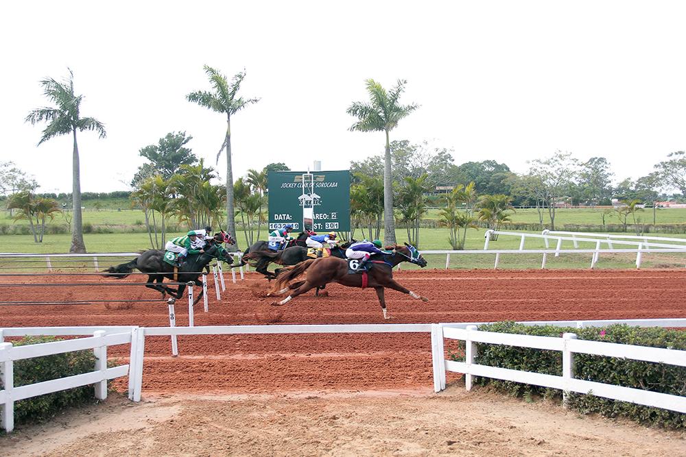 Foi dada a largada para a temporada 2019 no Jockey Club de Sorocaba Foi dada a largada para a temporada 2019 no Jockey Club de Sorocaba