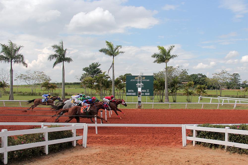 Foi dada a largada para a temporada 2019 no Jockey Club de Sorocaba Foi dada a largada para a temporada 2019 no Jockey Club de Sorocaba