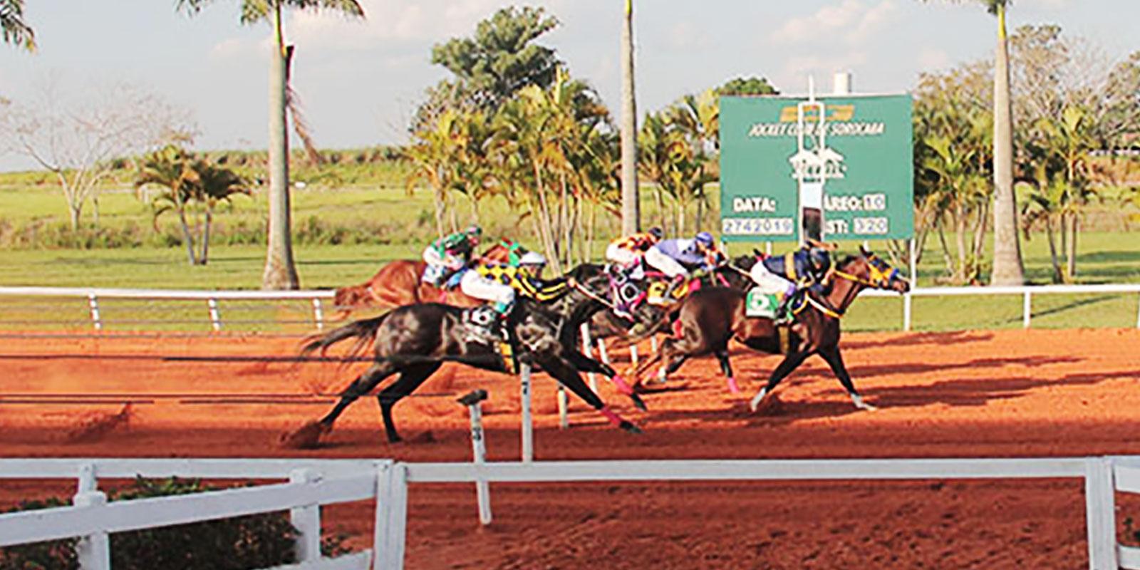 GP BRAZILIAN FUTURITY 2019