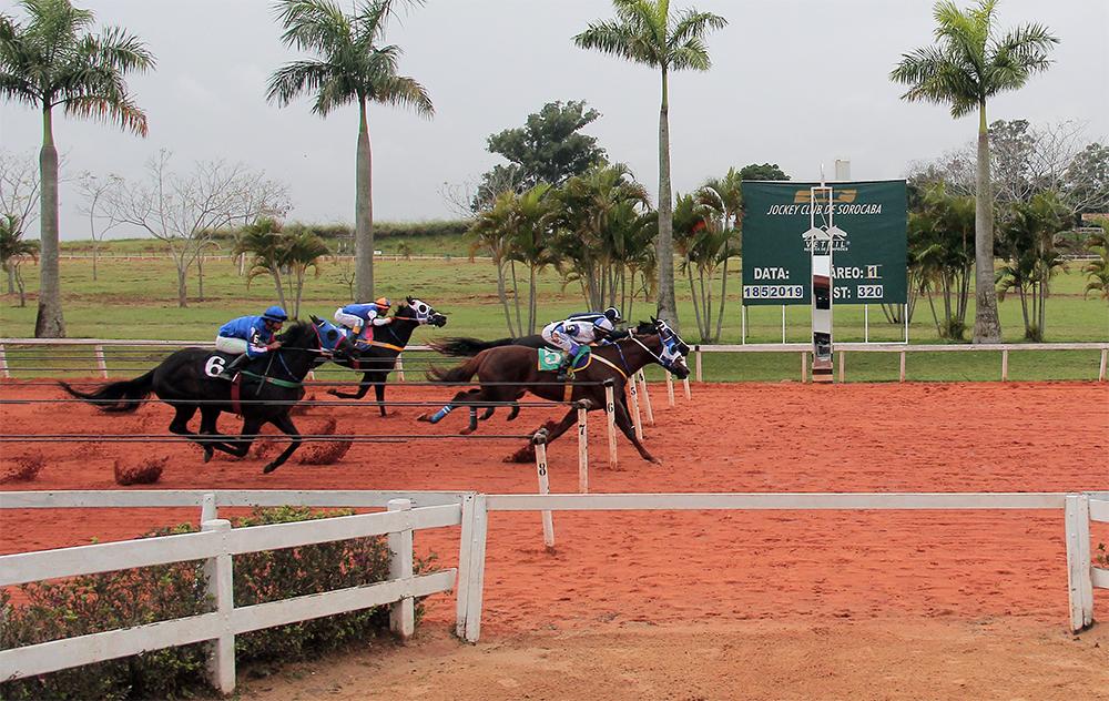 GP SOROCABA FUTURITY 2019 GP SOROCABA FUTURITY 2019