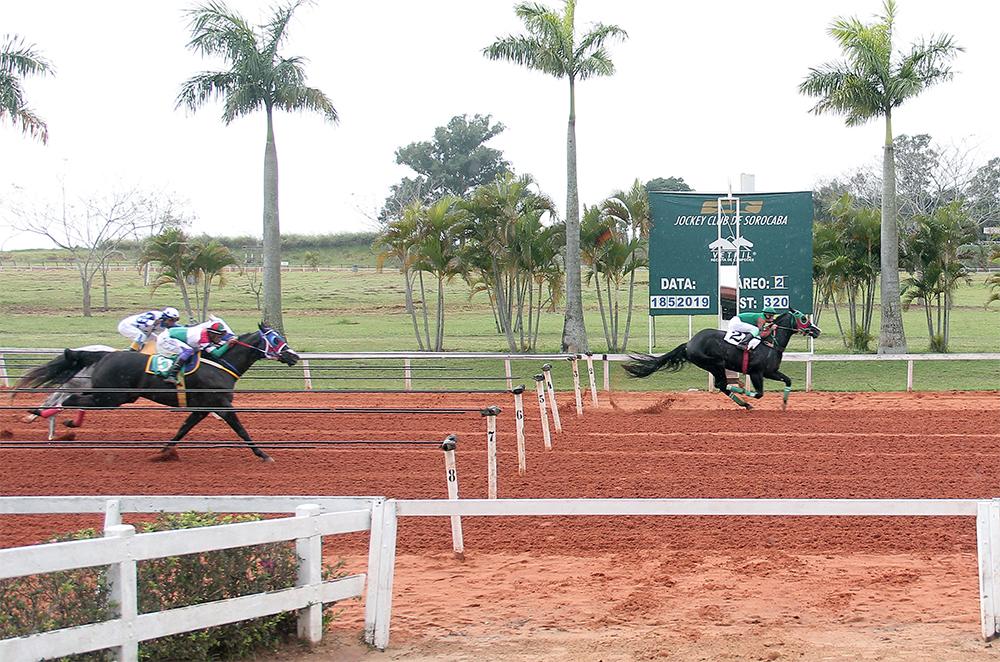 GP SOROCABA FUTURITY 2019 GP SOROCABA FUTURITY 2019