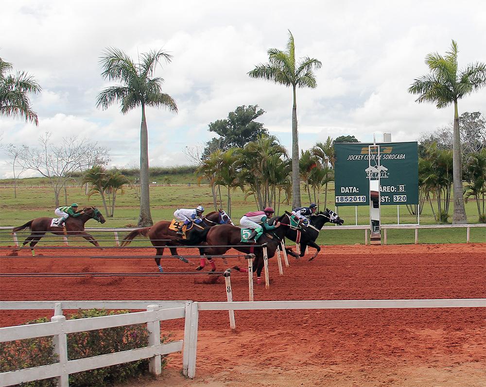 GP SOROCABA FUTURITY 2019 GP SOROCABA FUTURITY 2019