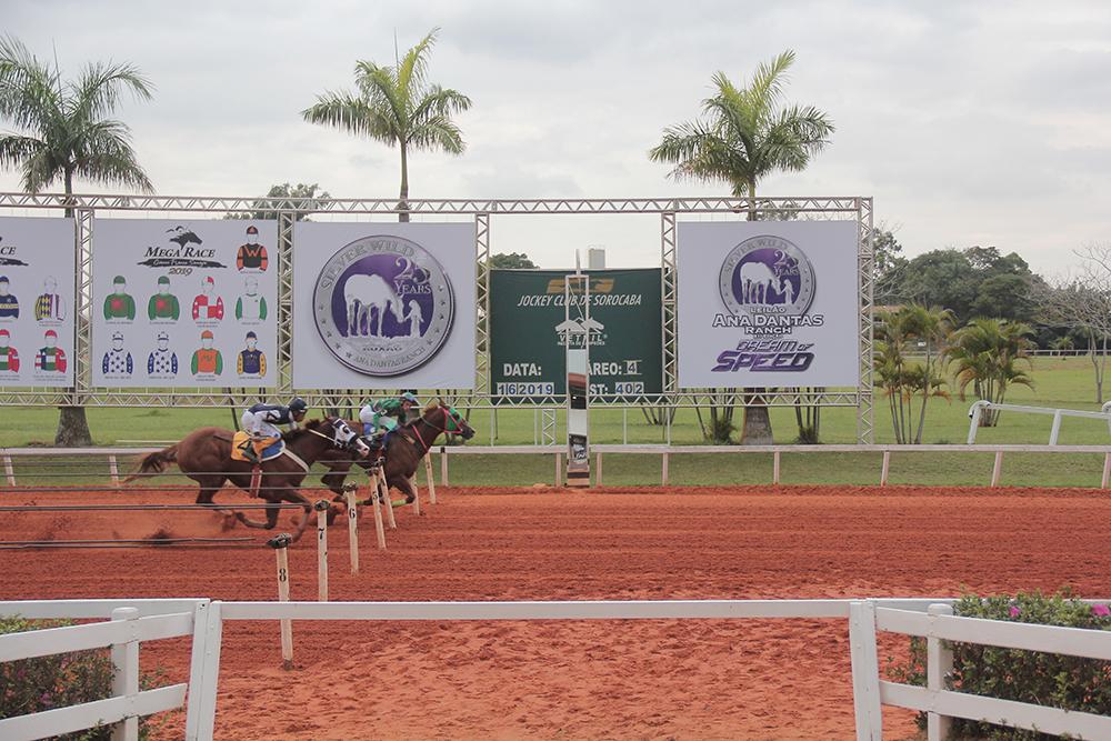 CLASSIFICATORIA GP MEGARACE - GIANNI FRANCO SAMAJA -2019 CLASSIFICATORIA GP MEGARACE - GIANNI FRANCO SAMAJA -2019