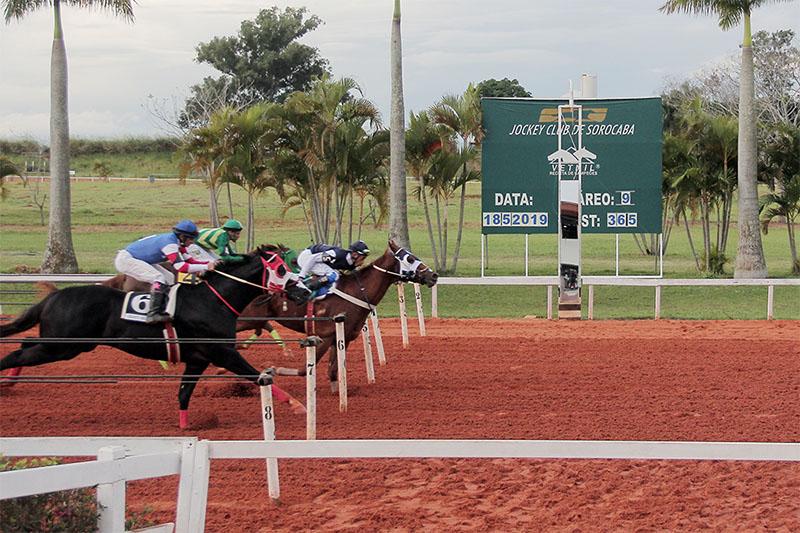 GP AMÉRICA FUTURITY- 2019 GP AMÉRICA FUTURITY- 2019