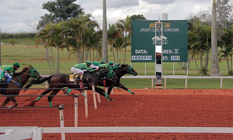 GP PRES. DO CENTRO HIPICO DO OESTE – I DERBY - 2019