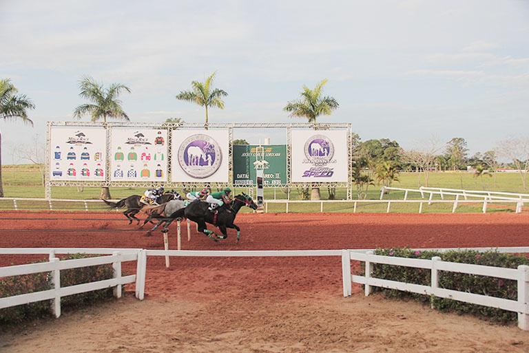 GP SOROCABA FUTURITY 2019 GP SOROCABA FUTURITY 2019