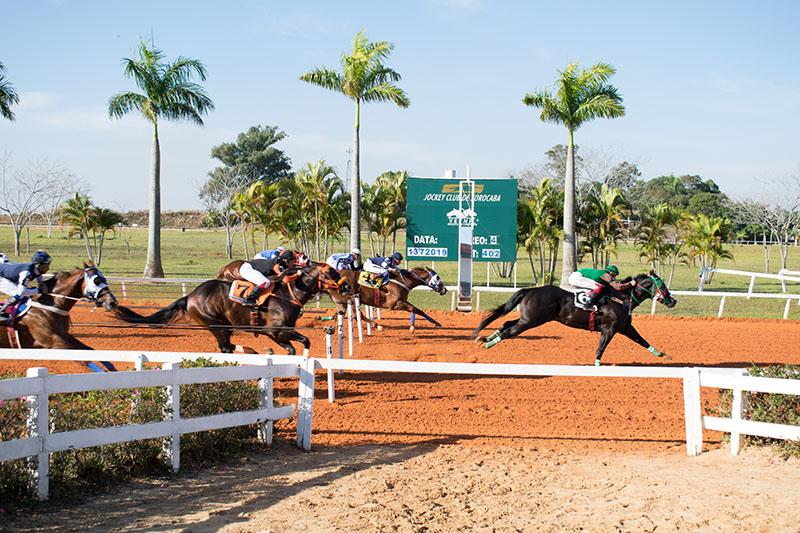 GP ABQM Potro do Futuro 2019 GP ABQM Potro do Futuro 2019