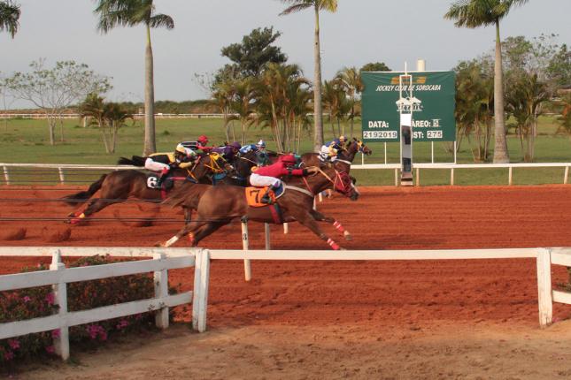 Grande Premio Taça de Prata -2019 Grande Premio Taça de Prata -2019