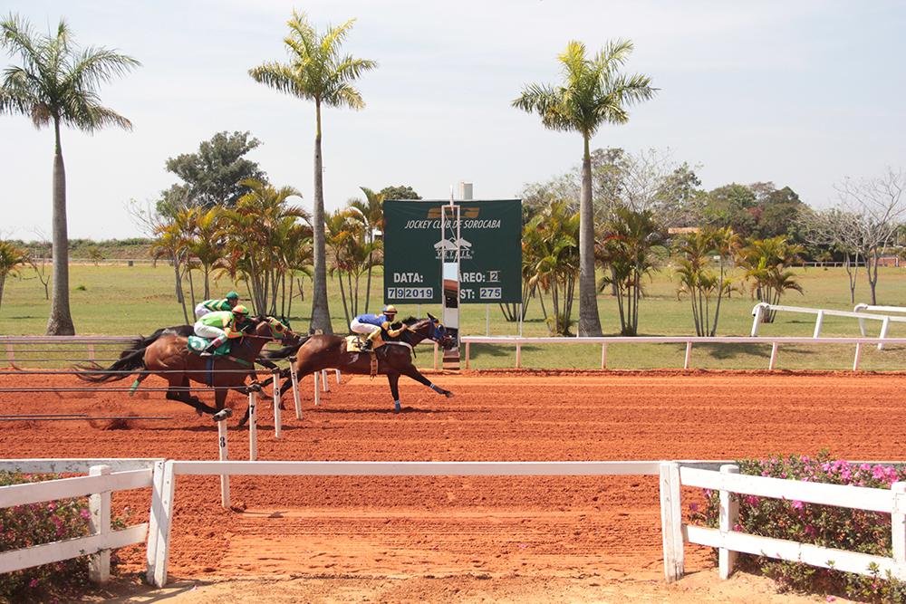 Grande Premio Taça de Prata -2019