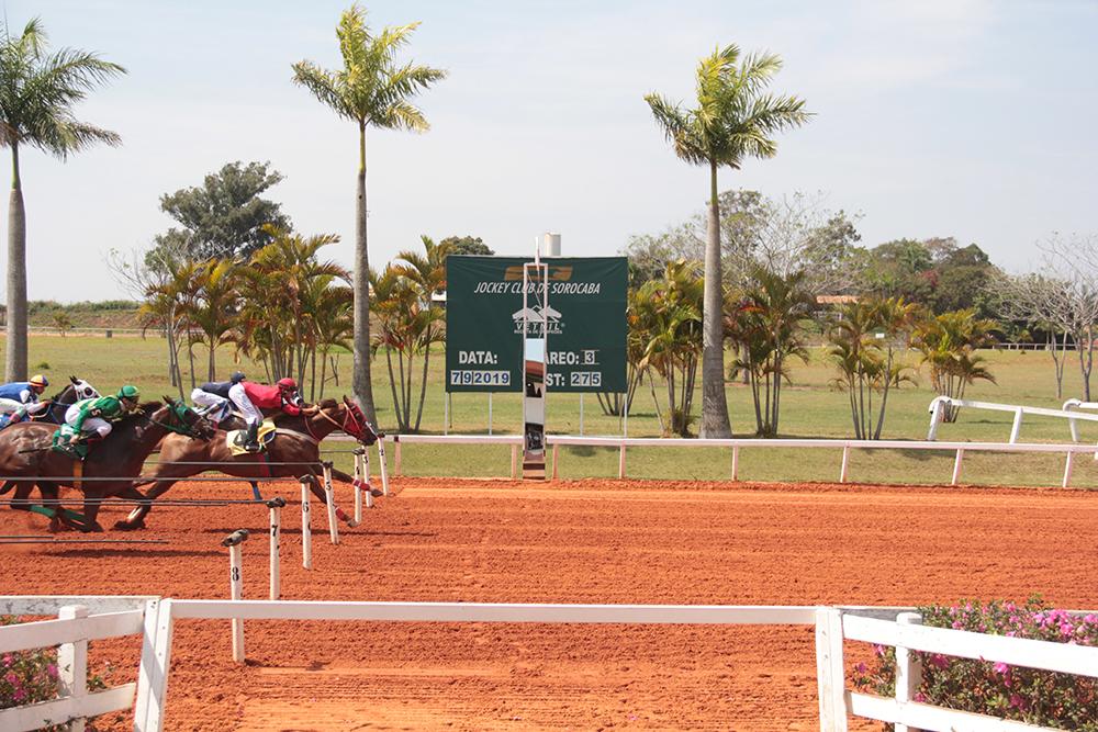 Grande Premio Taça de Prata -2019 Grande Premio Taça de Prata -2019