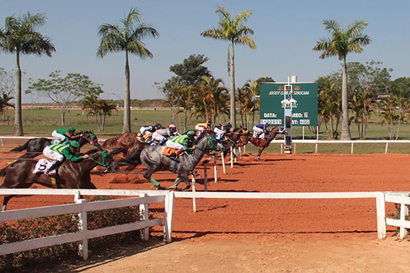 GP Consagração- III TRÍPLICE COROA -2019 GP Consagração- III TRÍPLICE COROA -2019