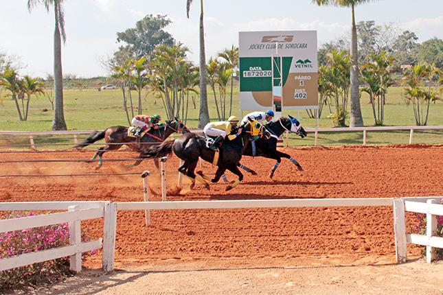 FINAL MEGARACE 2020, FINAL MEGARACE 2020,