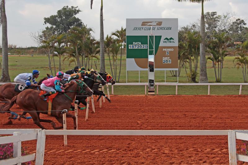 Páreo Haras Fazenda São Jose/Haras Mantovani / Edicarlos 
