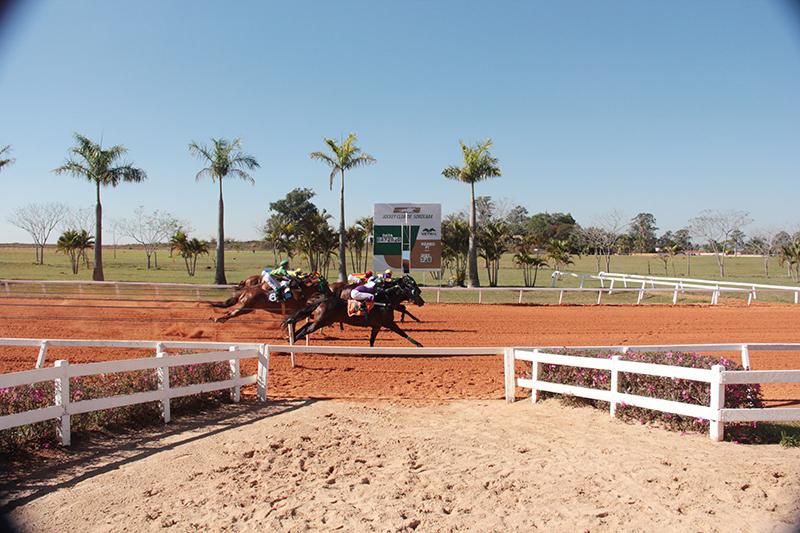 TORNEIO ESPECIAL HENRIQUE OSELIERO -2020