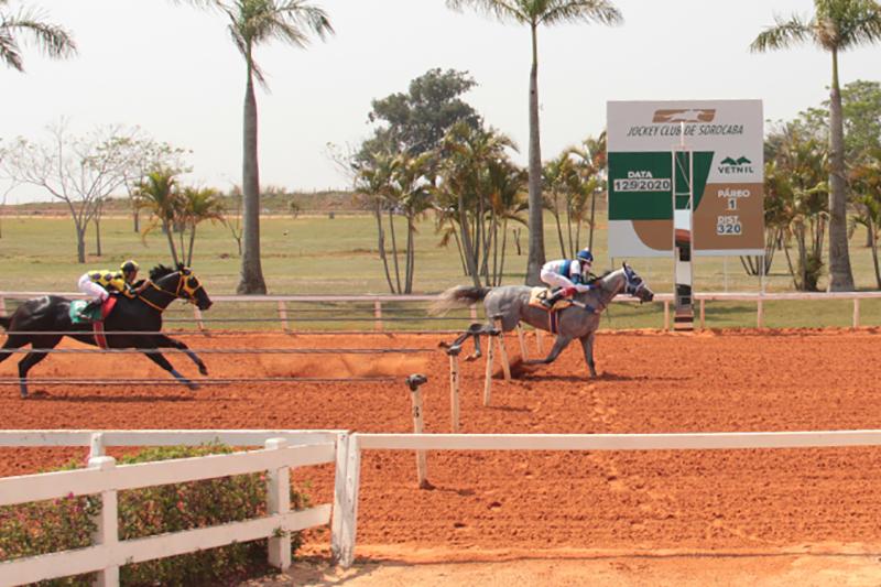 Final GP Sorocaba Futurity - 2020 Final GP Sorocaba Futurity - 2020