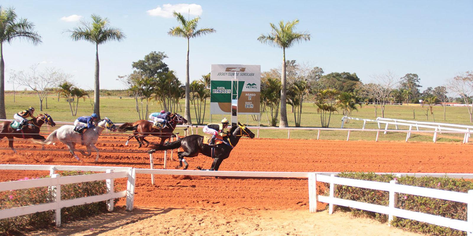 PAREO EDI CARLOS RODRIGUES DE PAULA