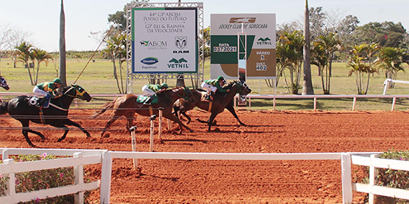XLIV GP ABQM Potro do Futuro 2021 XLIV GP ABQM Potro do Futuro 2021
