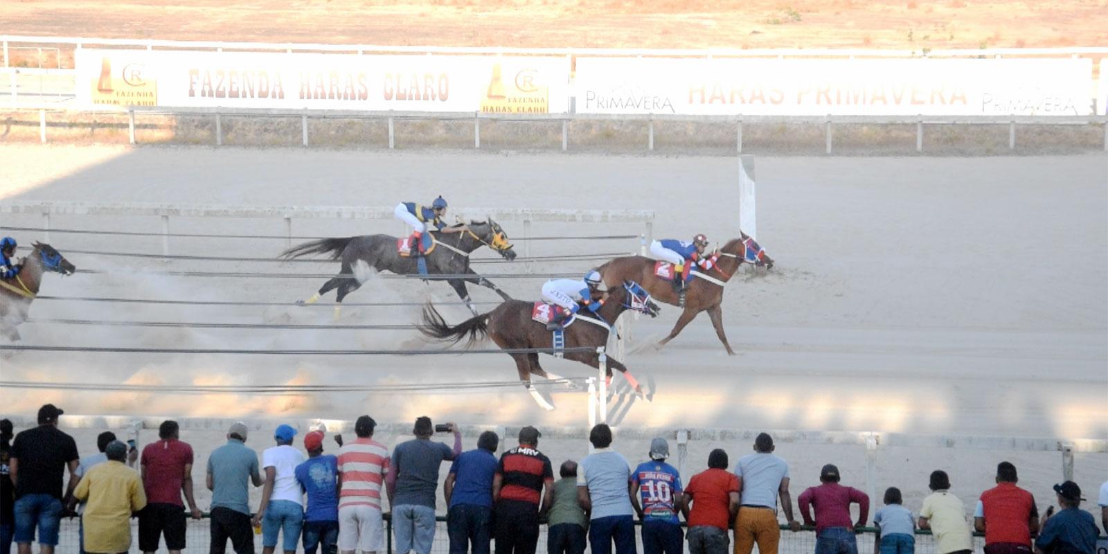 GP e Leilão Quarter Horse 2021 GP e Leilão Quarter Horse 2021