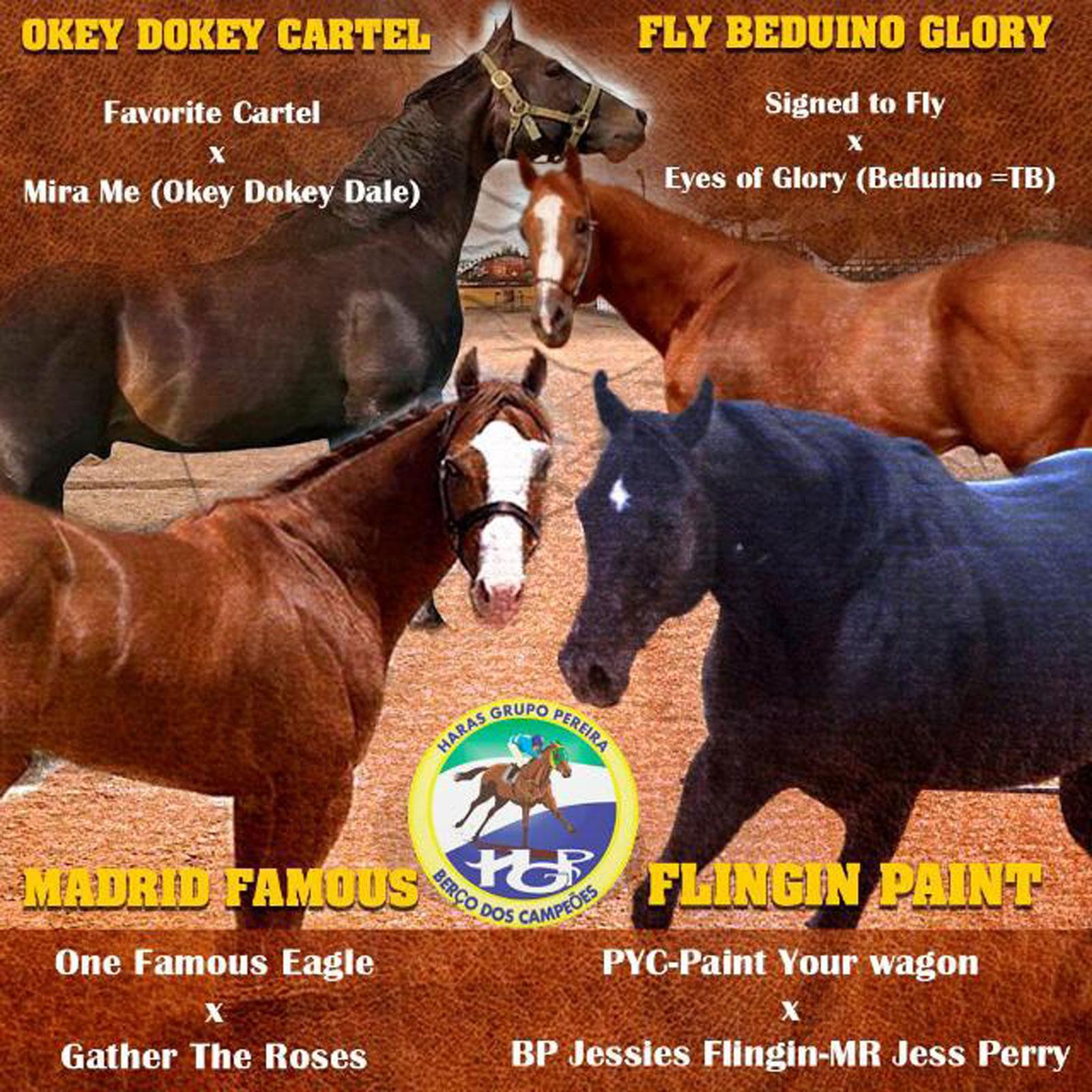 Haras Grupo Pereira Haras Grupo Pereira