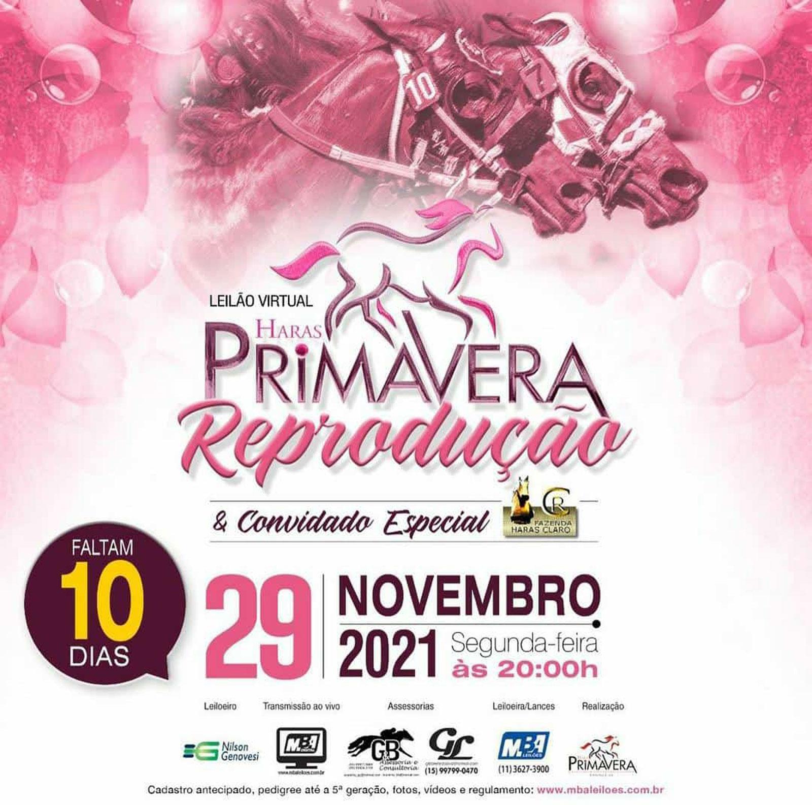 Leilão Virtual Haras Primavera Reprodução & Convidado Especial Haras Fazenda Claro Leilão Virtual Haras Primavera Reprodução & Convidado Especial Haras Fazenda Claro