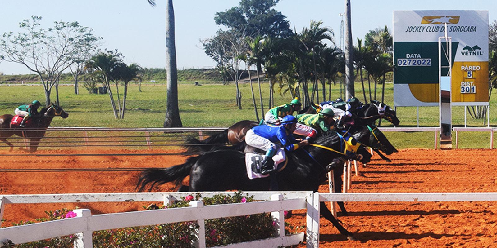 GP ABQM REI DA VELOCIDADE - 2022 GP ABQM REI DA VELOCIDADE - 2022