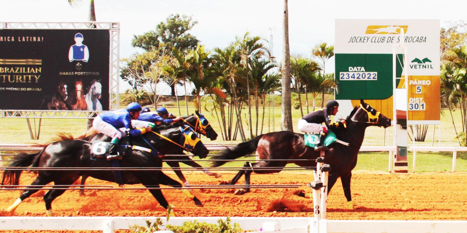 GP PRES. Centro Hípico do Oeste - I Derby - Sr. Jonatas Dantas GP PRES. Centro Hípico do Oeste - I Derby - Sr. Jonatas Dantas