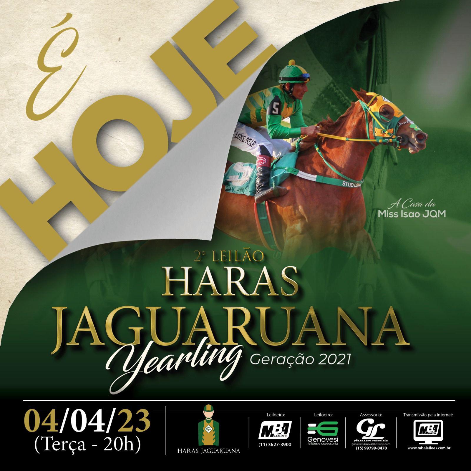 2º LEILÃO VIRTUAL HARAS JAGUARUANA YEARLING DA GERAÇÃO 2021 2º LEILÃO VIRTUAL HARAS JAGUARUANA YEARLING DA GERAÇÃO 2021