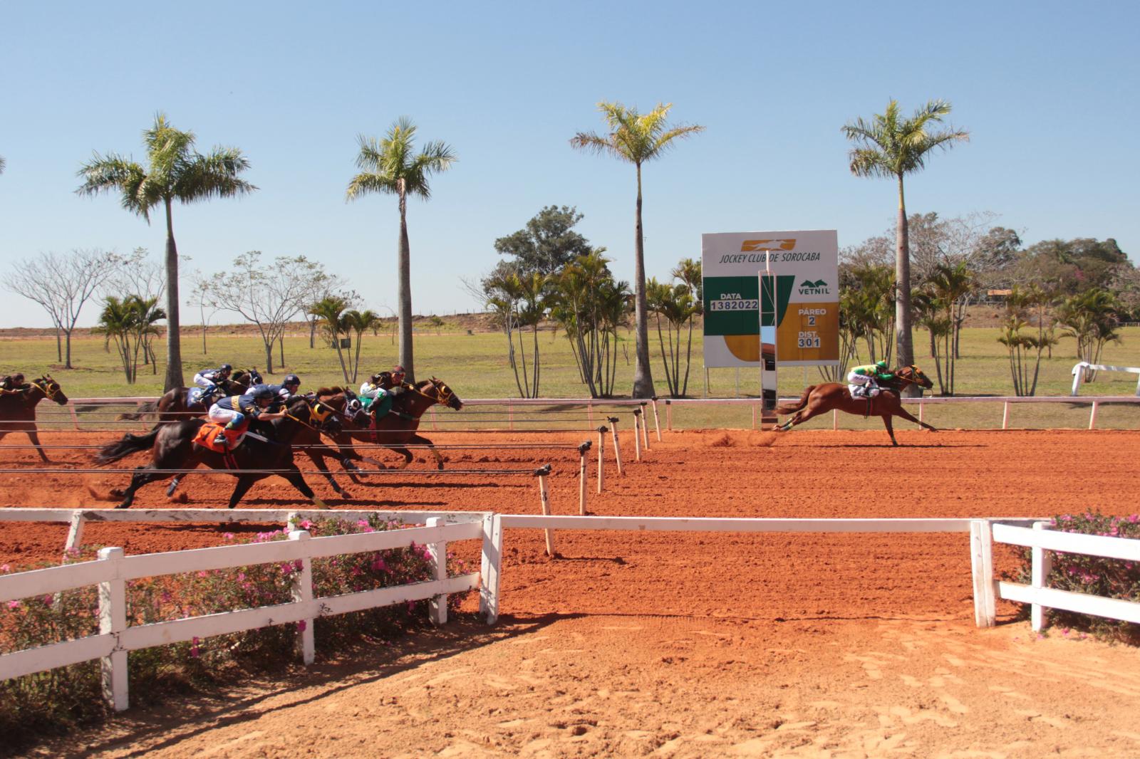 2º LEILÃO VIRTUAL HARAS JAGUARUANA YEARLING DA GERAÇÃO 2021 2º LEILÃO VIRTUAL HARAS JAGUARUANA YEARLING DA GERAÇÃO 2021