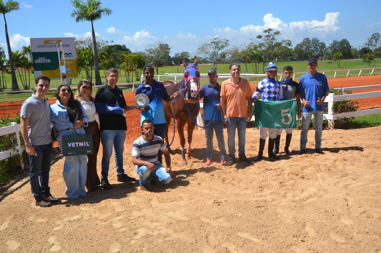 PAREO 5º LEILÃO HARAS BRASIL & CONVIDADOS PAREO 5º LEILÃO HARAS BRASIL & CONVIDADOS