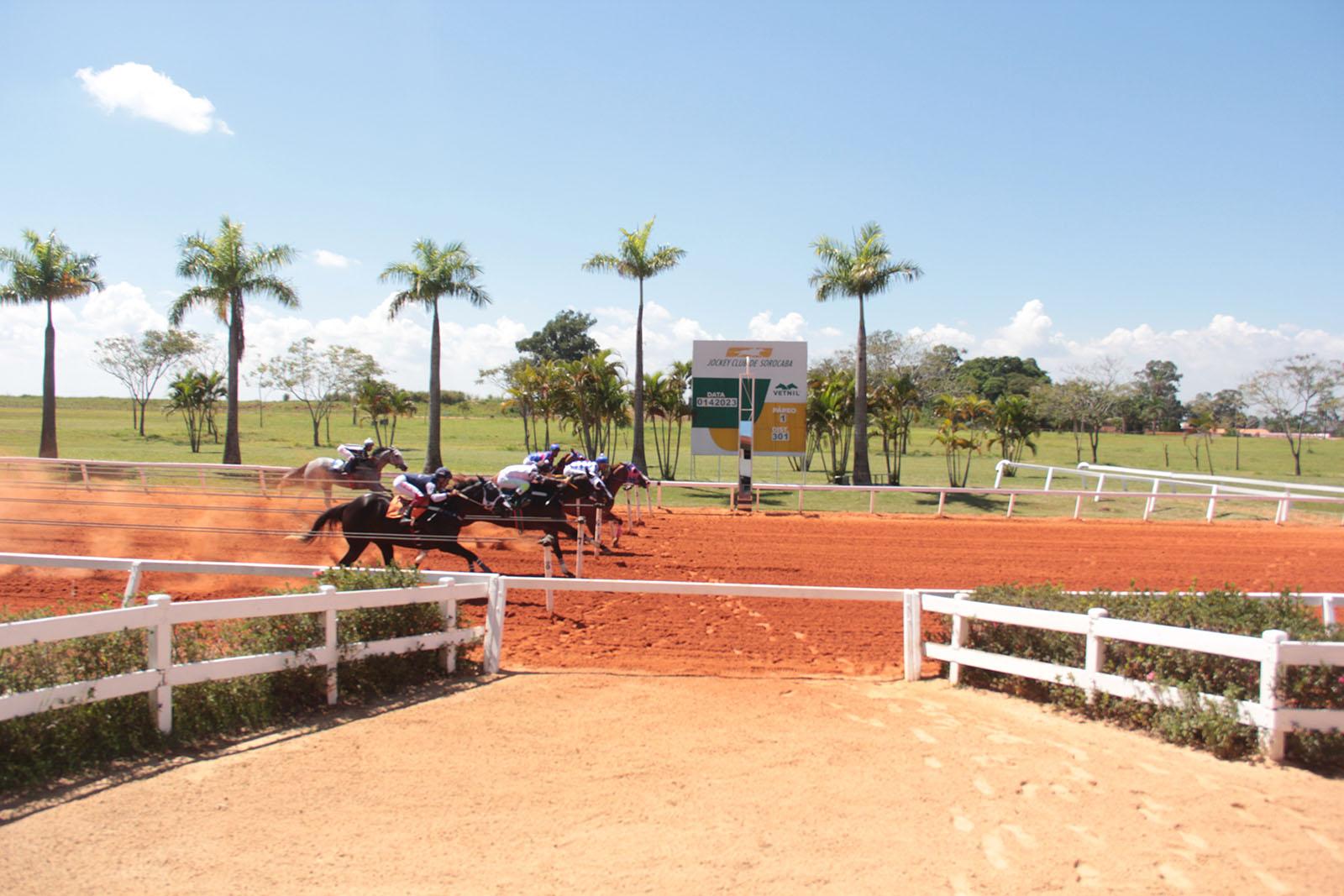 PAREO 5º LEILÃO HARAS BRASIL & CONVIDADOS PAREO 5º LEILÃO HARAS BRASIL & CONVIDADOS