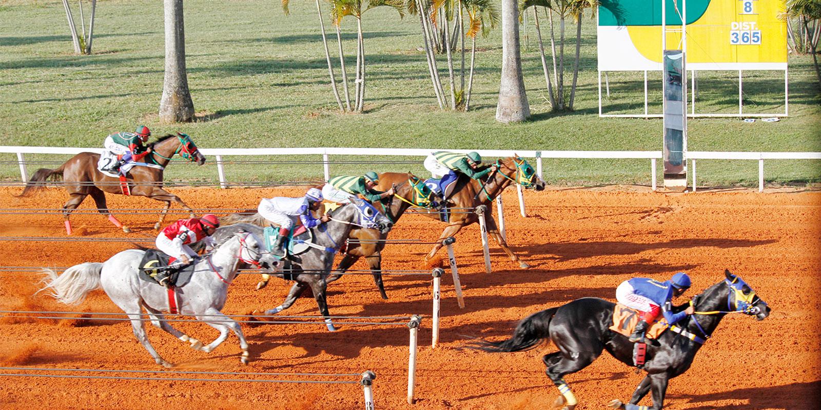 BLACK GOOD DASH WA vence o GP Pres. da ABQM - II DERBY BLACK GOOD DASH WA vence o GP Pres. da ABQM - II DERBY