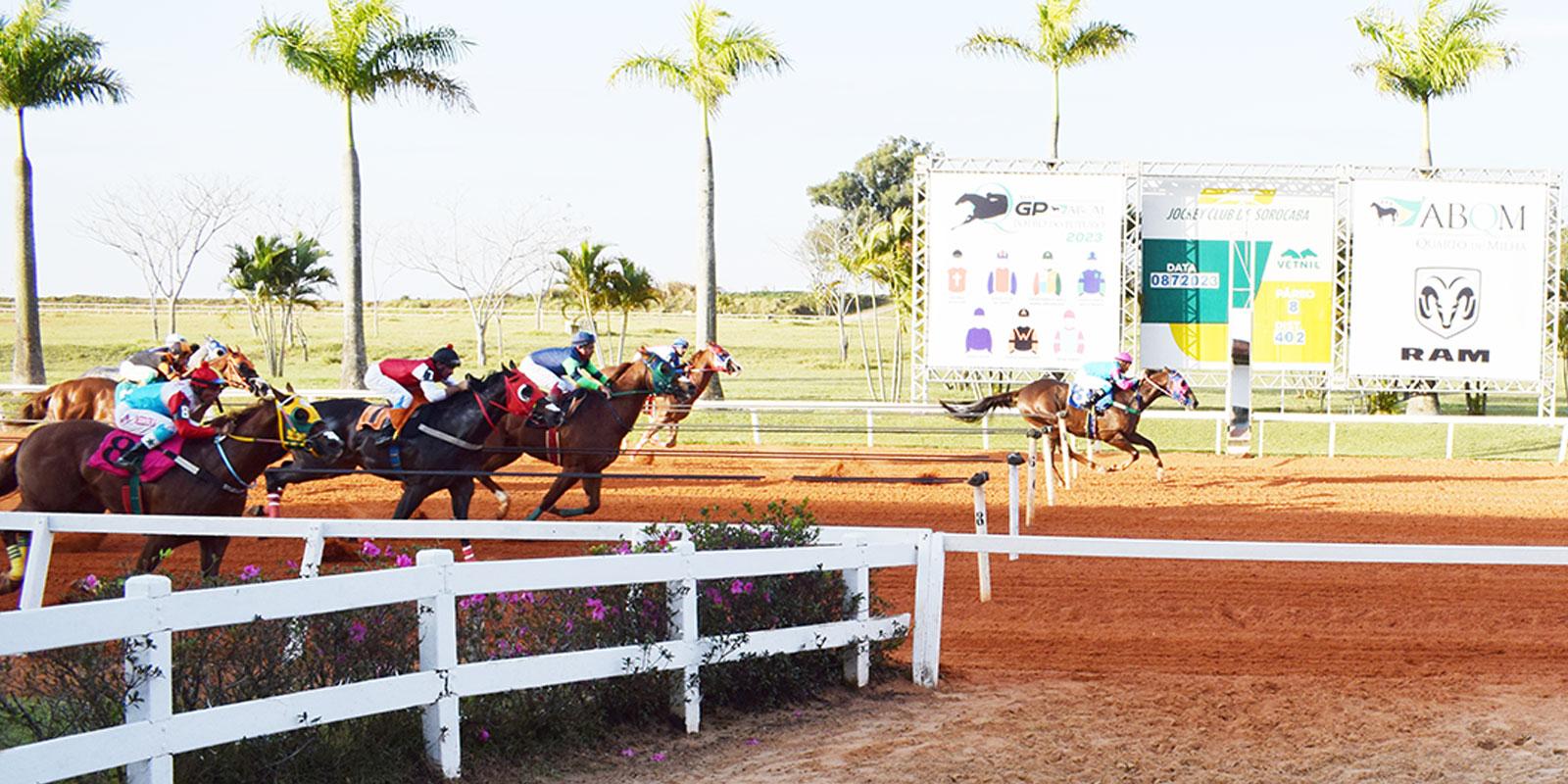 XLVI GP ABQM POTRO DO FUTURO 2023