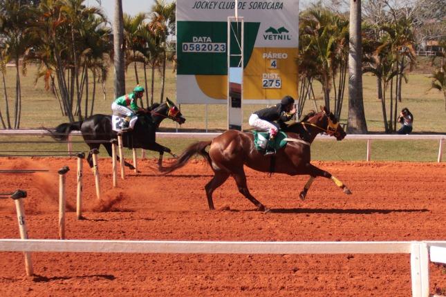 GP Taça de Bronze 2023 GP Taça de Bronze 2023