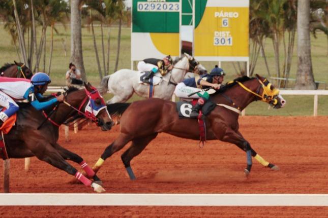 GP Taça de Prata 2023 GP Taça de Prata 2023