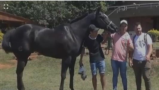 Usain Bolt Argentino - Pensador Lake