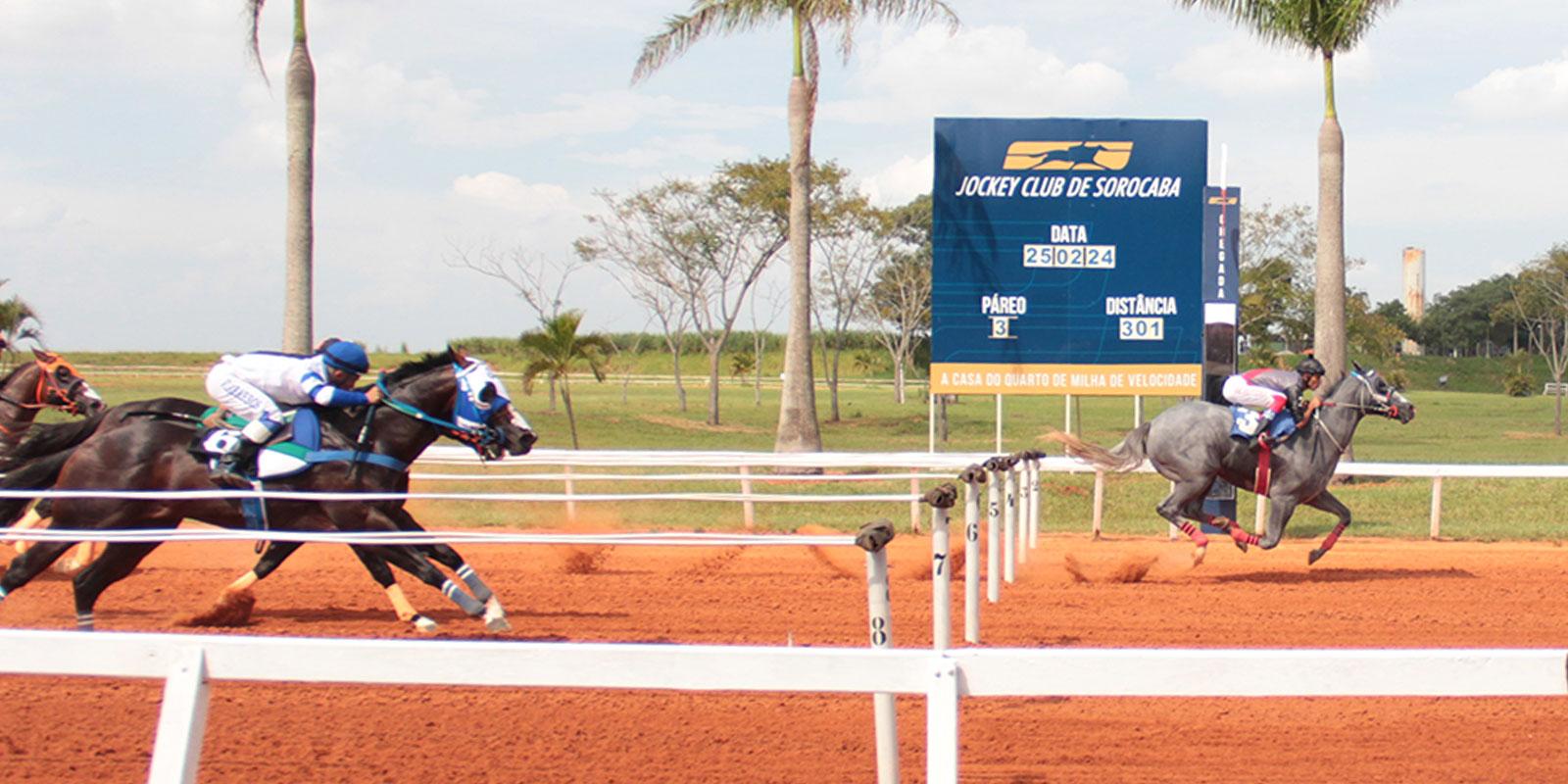 GP WA FUTURITY 2024 no Jockey Club de Sorocaba GP WA FUTURITY 2024 no Jockey Club de Sorocaba