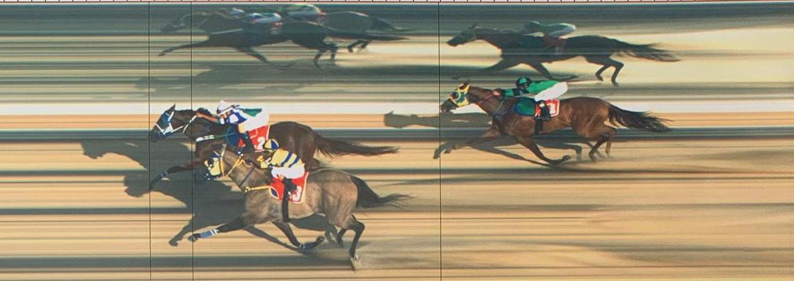 Haras Três Climas Brilha no Hipódromo Raimundo Barroso com Vitória na Penca