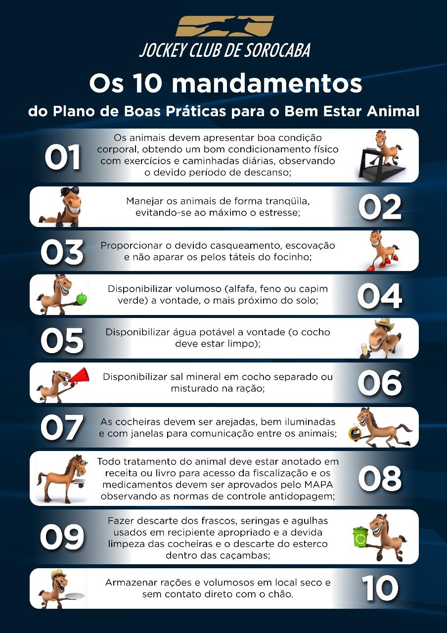 Os 10 mandamentos do cavalo