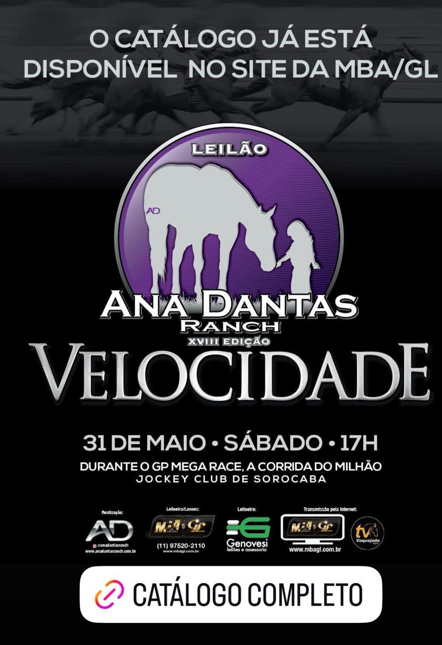LEILÃO ANA DANTAS RANCH XVIII EDIÇÃO VELOCIDADE 2025