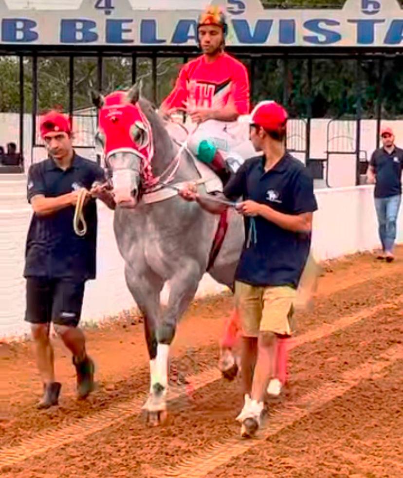 Guardião Boudro conquista o título do 11º Grande Prêmio Internacional Cidade de Bela Vista 2025