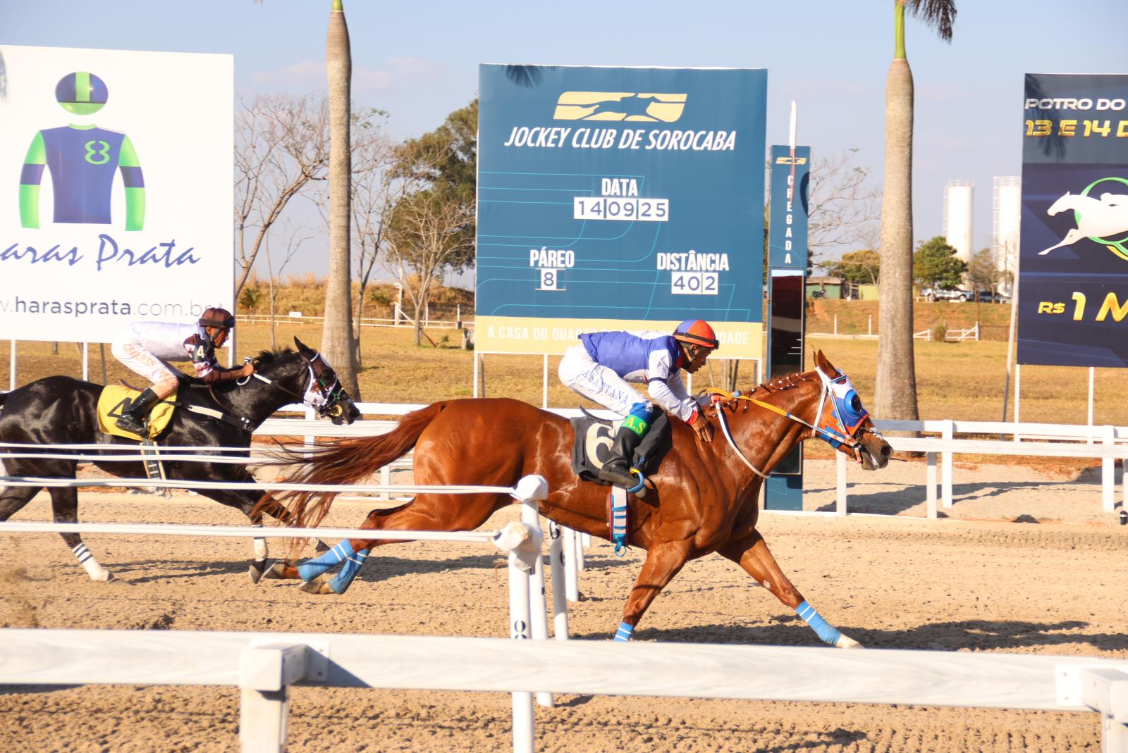 XLVIII GP ABQM Potro do Futuro 2025