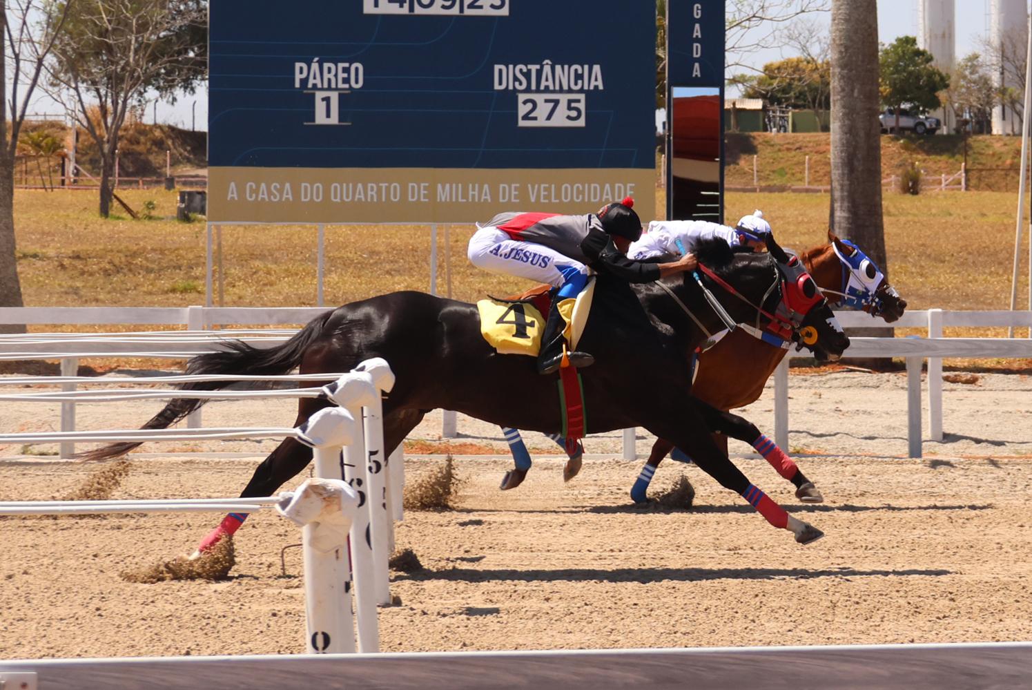 Primeiro Páreo – Homenagem ao Haras São Matheus Primeiro Páreo – Homenagem ao Haras São Matheus