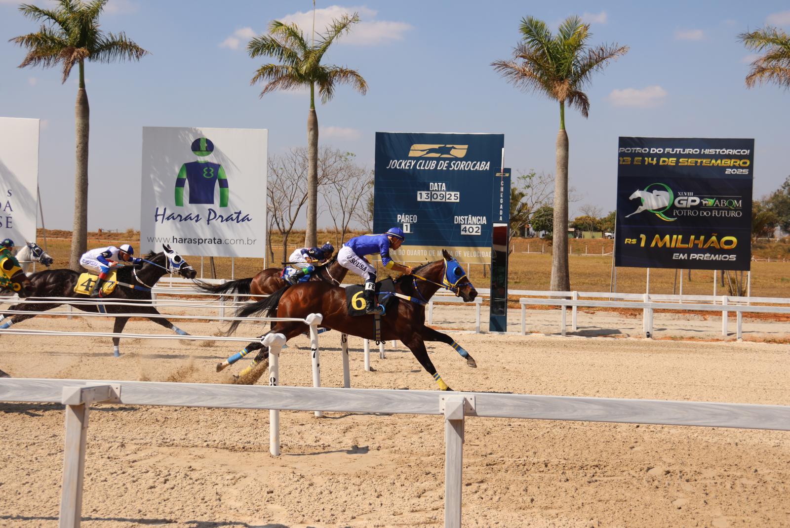 Primeiro Páreo - Classificatória - XLVIII GP ABQM Potro do Futuro - Dr. Ovídio Vieira Ferreira, 
