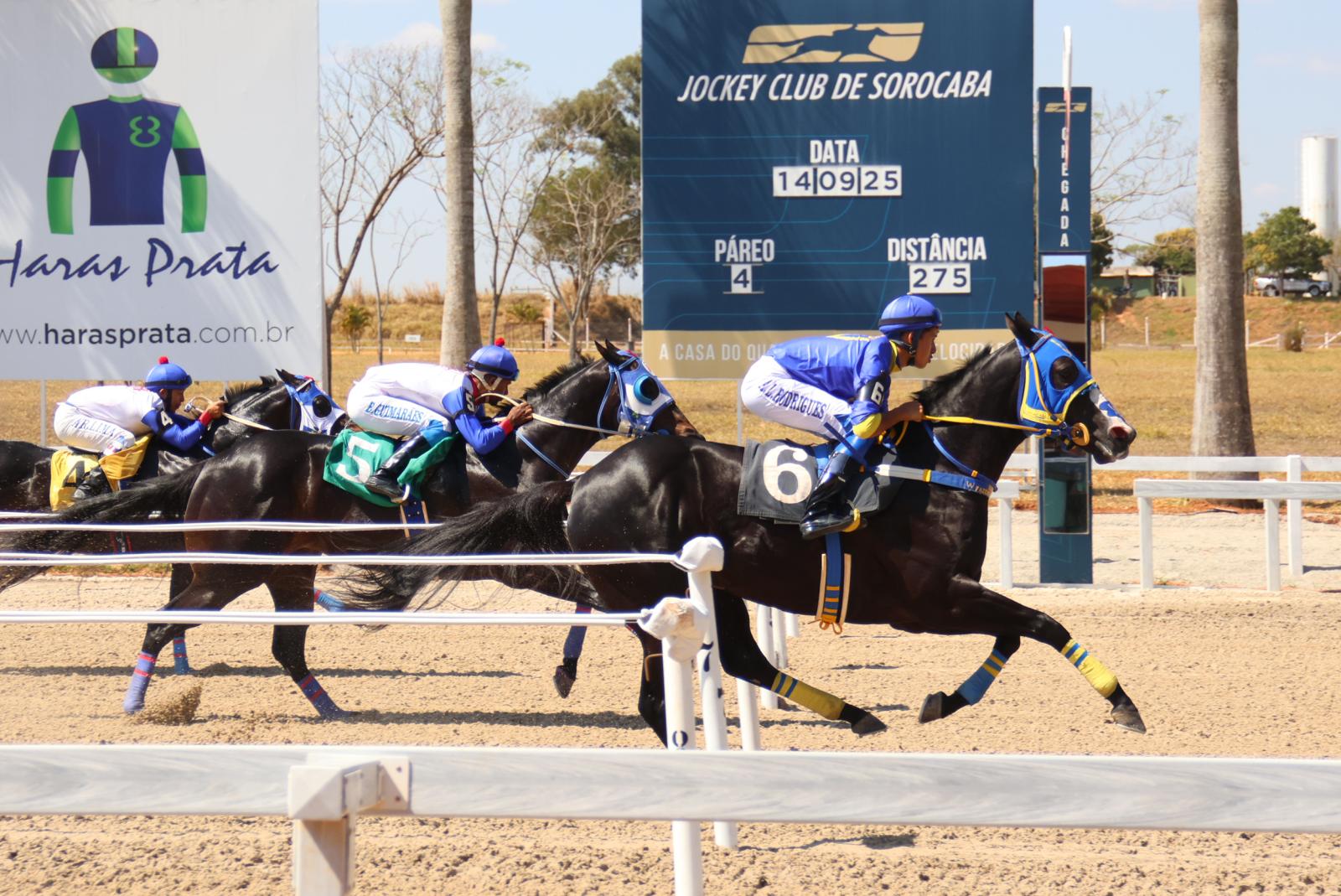 Quarto Páreo – Subprocurador-Geral da República Dr. Luiz Augusto Santos Lima Quarto Páreo – Subprocurador-Geral da República Dr. Luiz Augusto Santos Lima