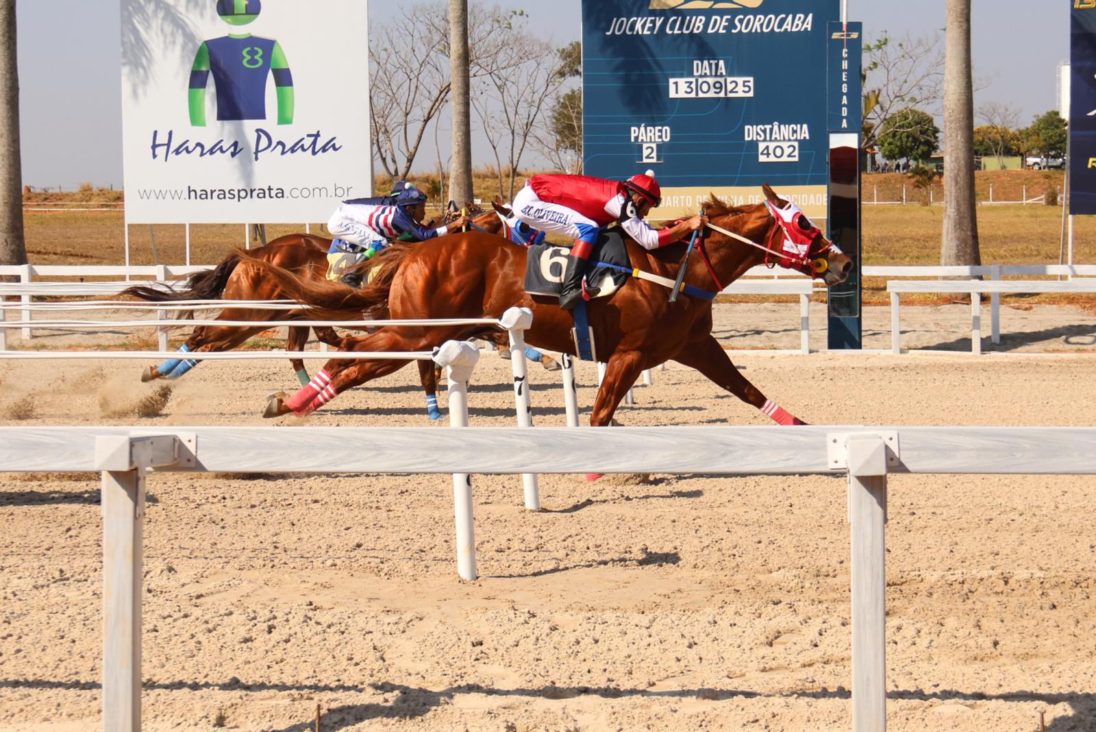 Segundo Páreo - Classificatória - GP ABQM Potro do Futuro 2025 Segundo Páreo - Classificatória - GP ABQM Potro do Futuro 2025