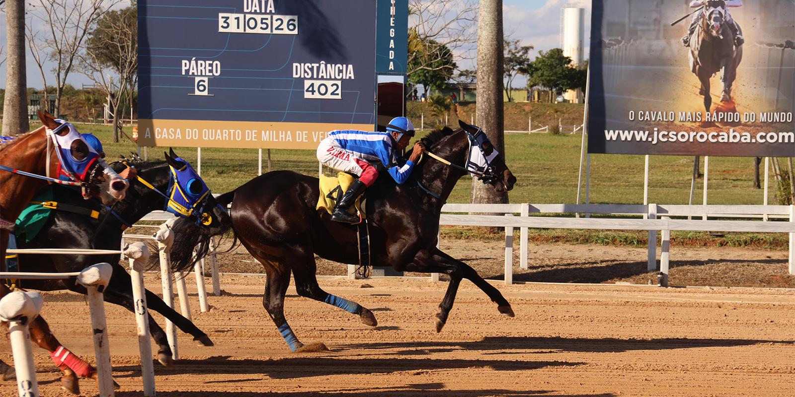 WINCHAESTER CARTEL conquista o GP Milionário Mega Race e eterniza o Haras NSA na história