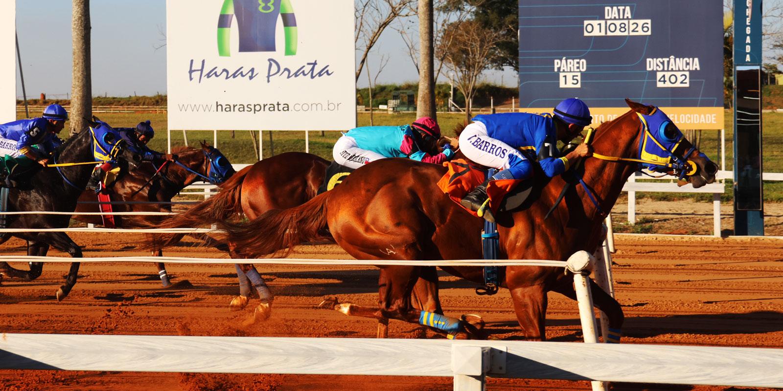 XLVIII GP Potro do Futuro ABQM consagra Fantastic Beduino WA e marca grande reunião no Jockey Club de Sorocaba